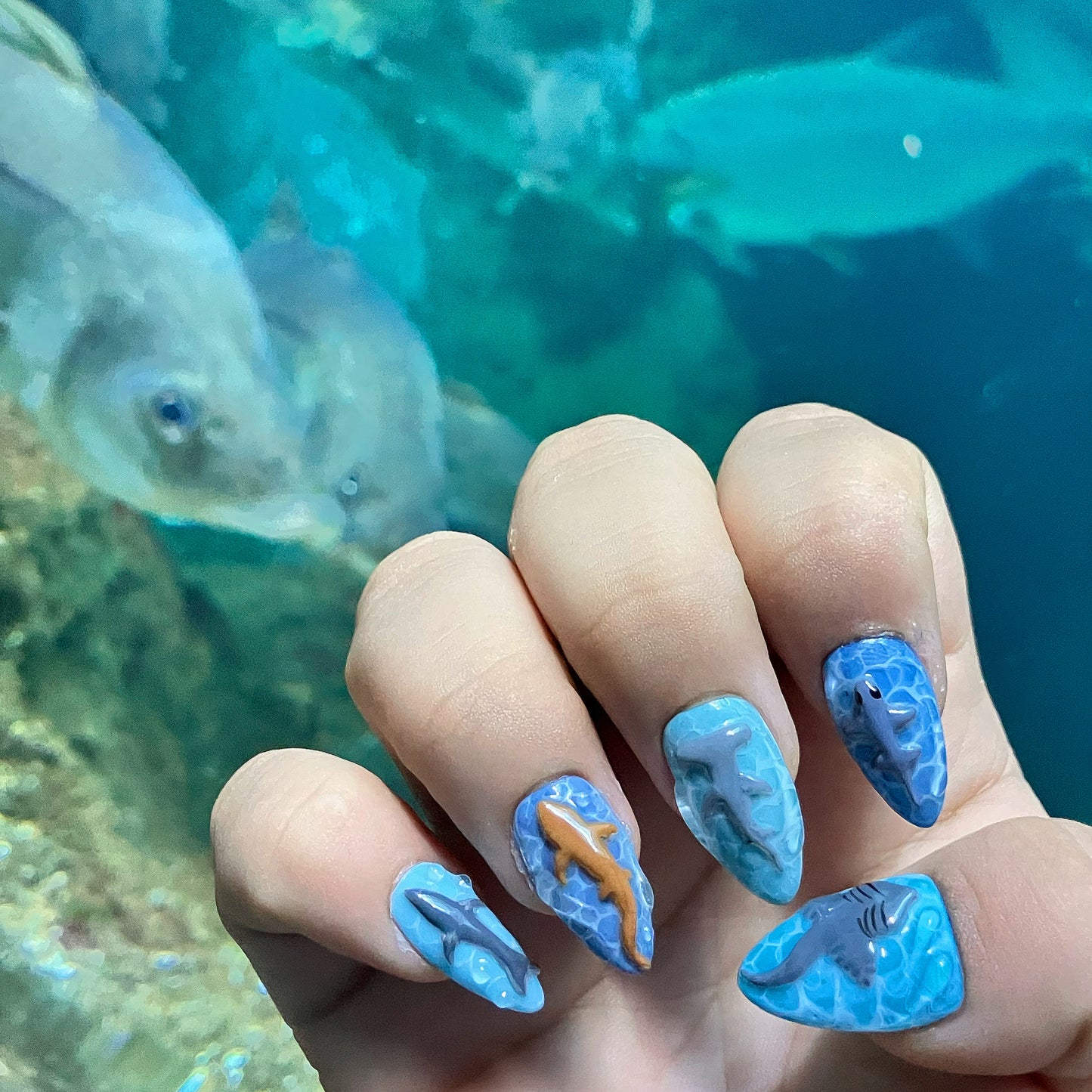 Shark ocean Set