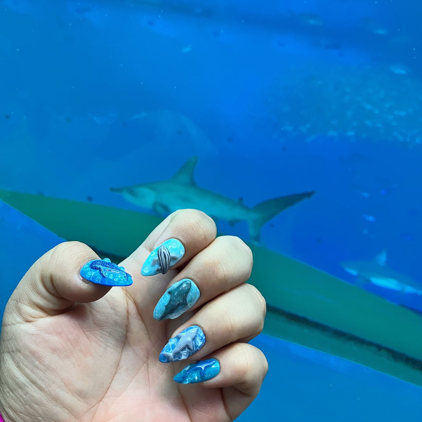 Shark ocean Set