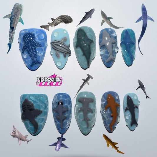 Shark ocean Set