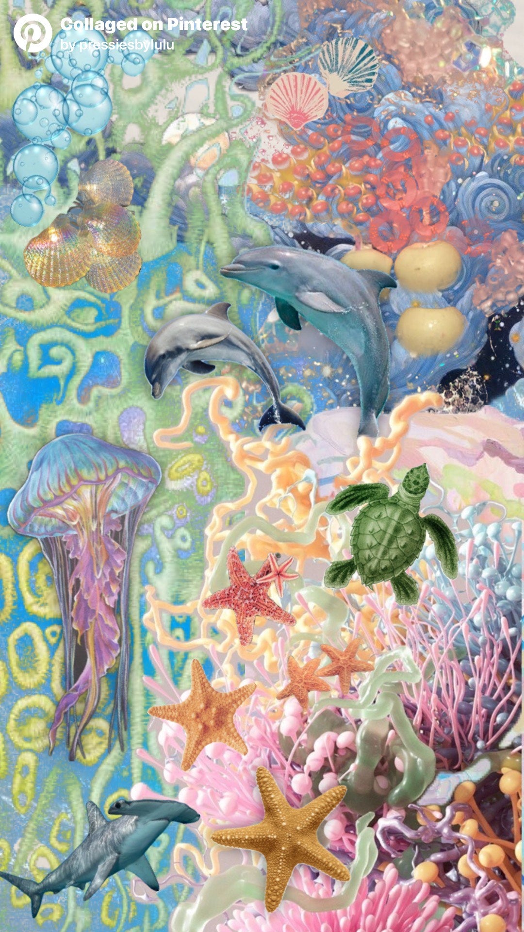 Groovy Reef Freestyle Set