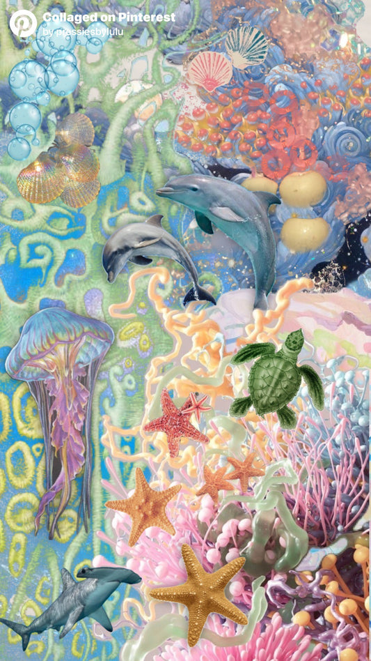 Groovy Reef Freestyle Set