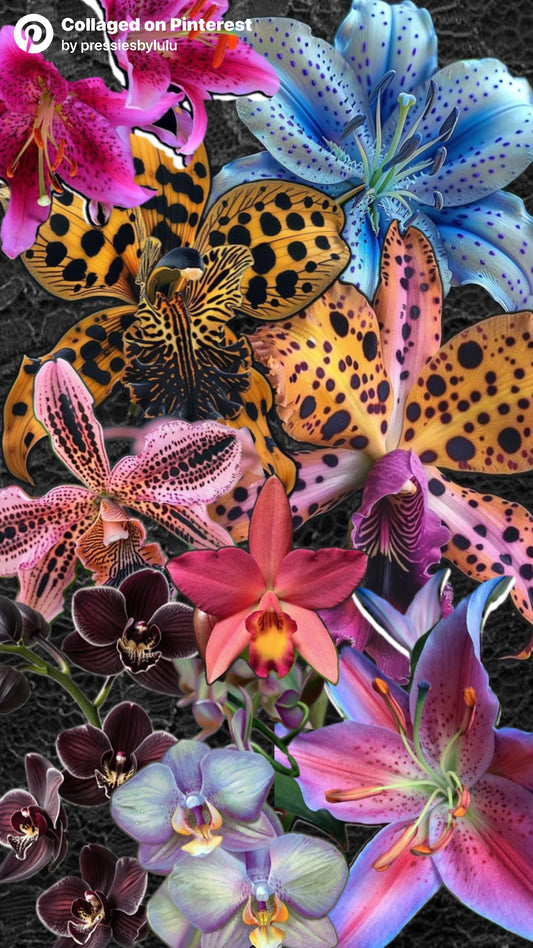 Brilliant Lilies Freestyle Set